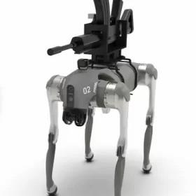 robot dog