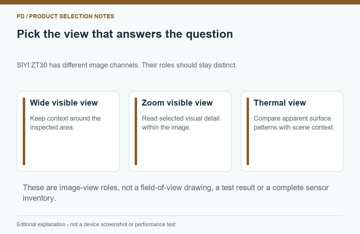 Three image-view roles for a wide visible camera, a zoom camera and a thermal imager